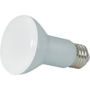 R20 Flood Light